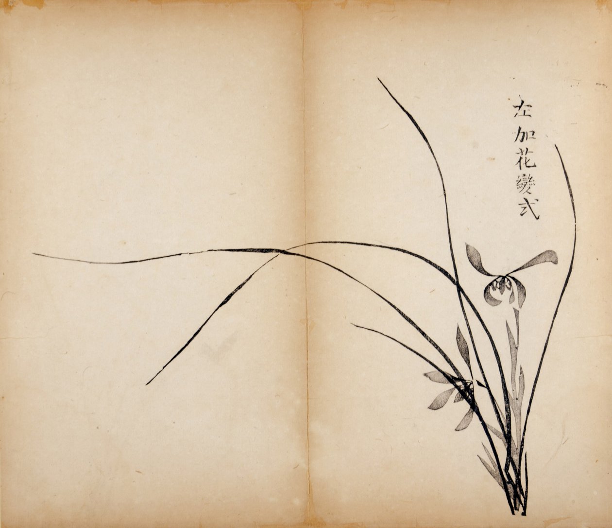 Tio Bamboo Studio Prints, 1643 (träblock) av Chinese School
