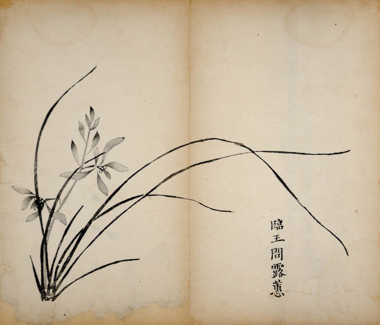 Tio Bamboo Studio Prints, 1643 (träblock) av Chinese School