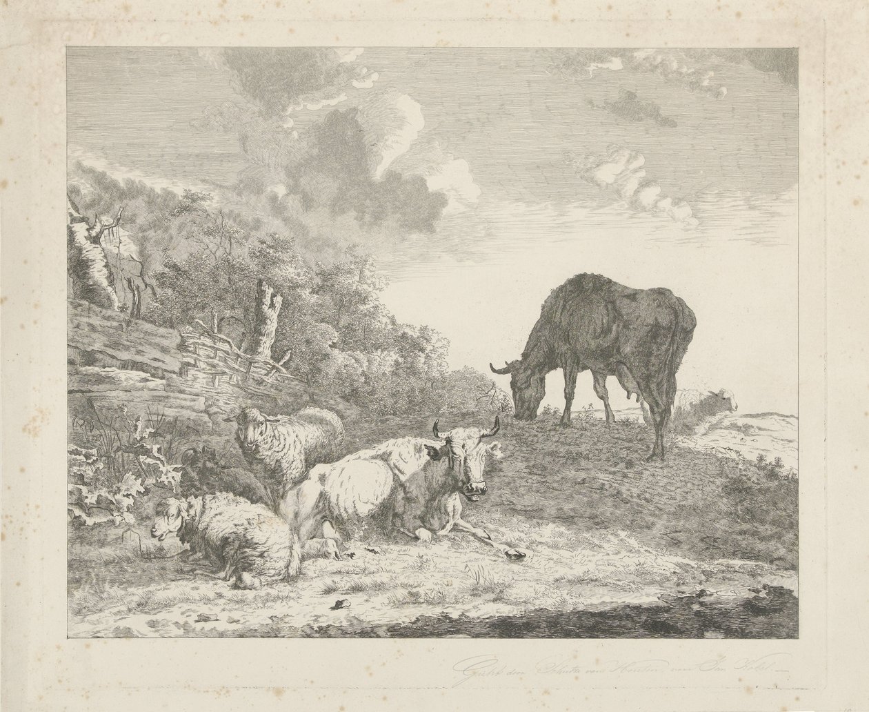 Landskap med boskap av Christiaan Godfried Schutze van Houten