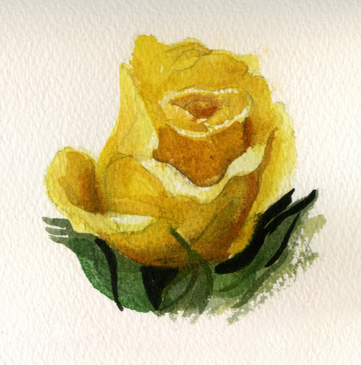 Yellow Rose, 2009 (akvarell på papper) av Christian Furr