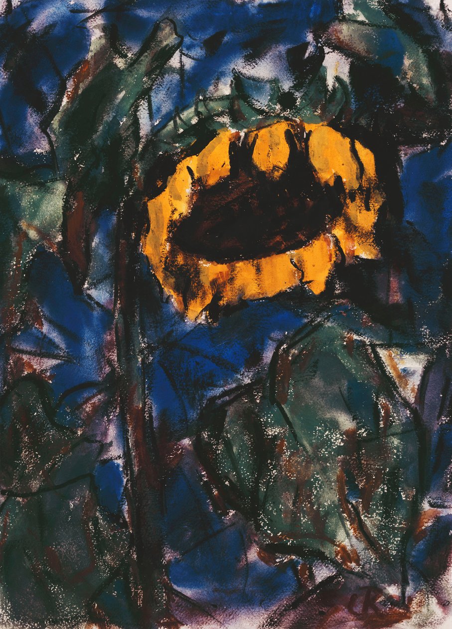 solros; solros av Christian Rohlfs