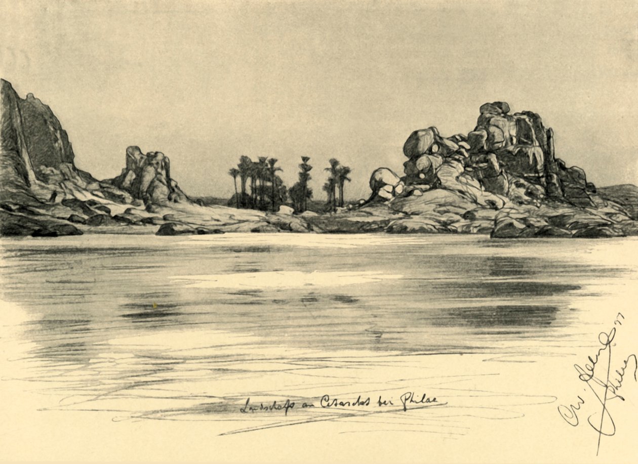 Första grå starr nära ön Philae vid Nilen, Egypten, 1898. av Christian Wilhelm Allers
