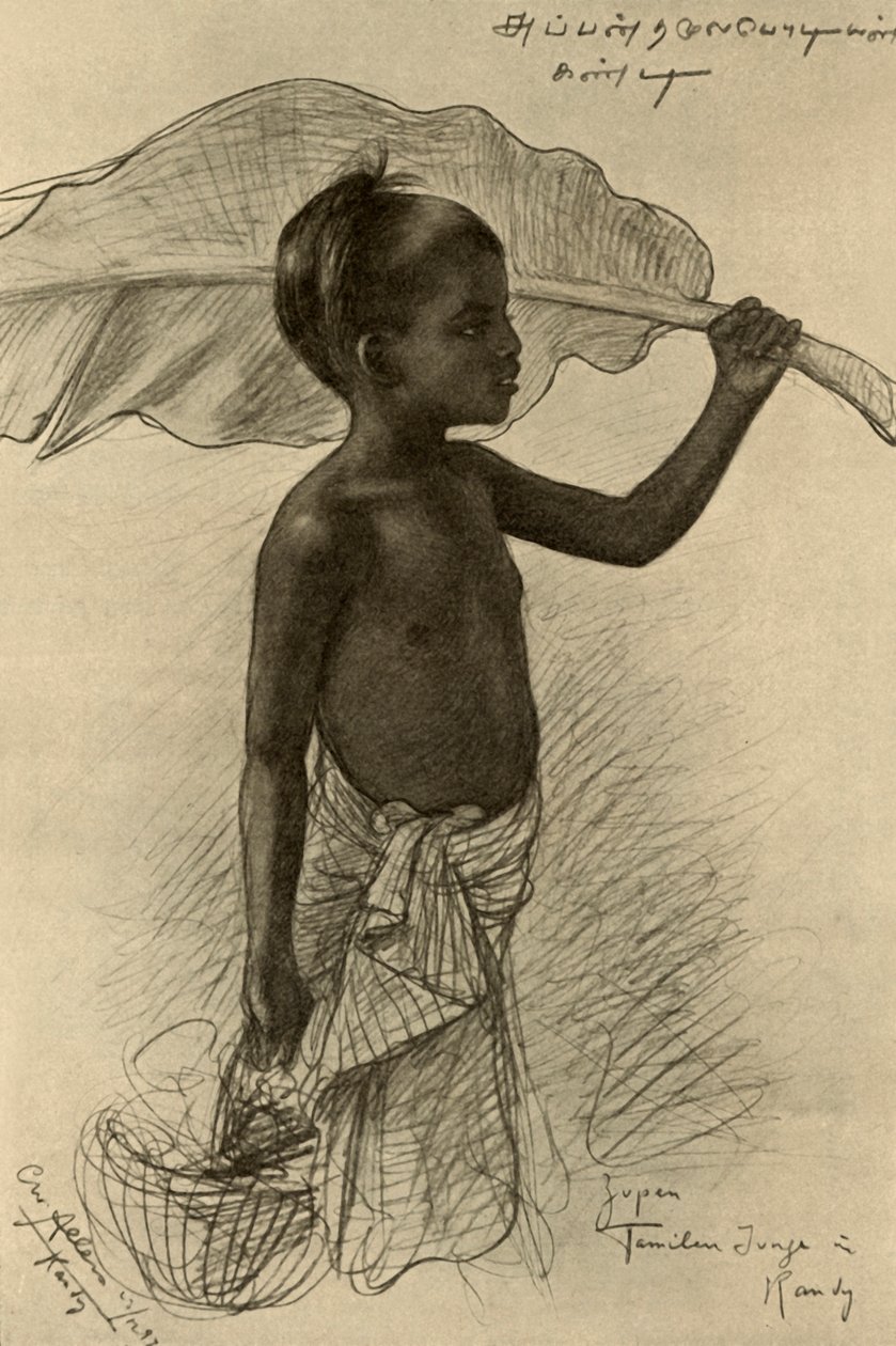 Tamil pojke, Kandy, Ceylon, 1898. av Christian Wilhelm Allers