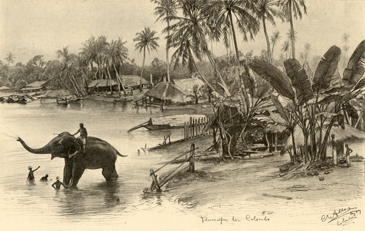 Tvätta en elefant i floden, Colombo, Ceylon, 1898. av Christian Wilhelm Allers