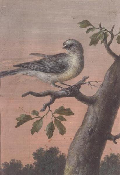 En fågel på en gren, (gouache), (se även 60075) av Christoph Ludwig Agricola