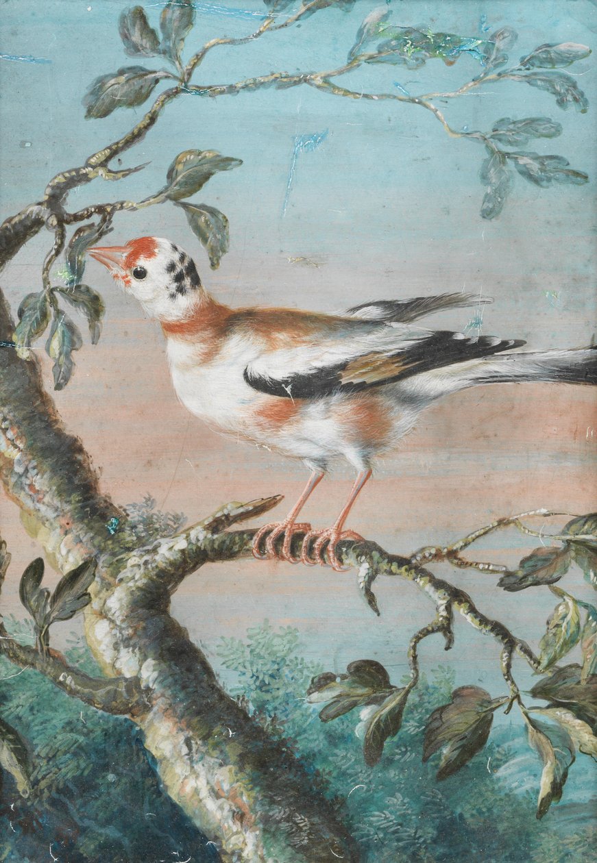 En fågel sittande på en gren av Christoph Ludwig Agricola