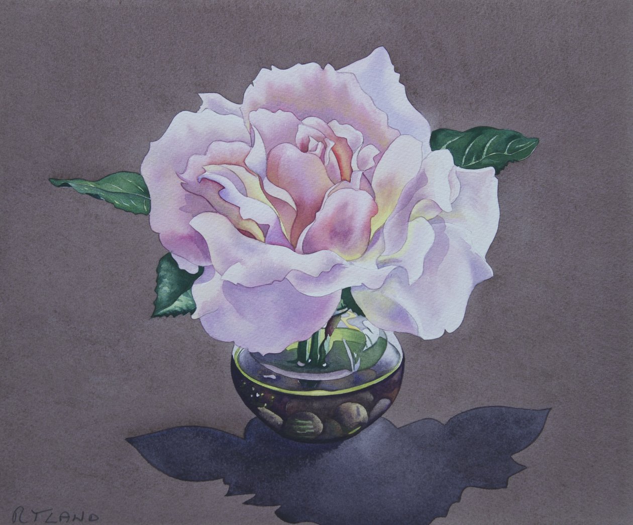 Rose Porträtt av Christopher Ryland