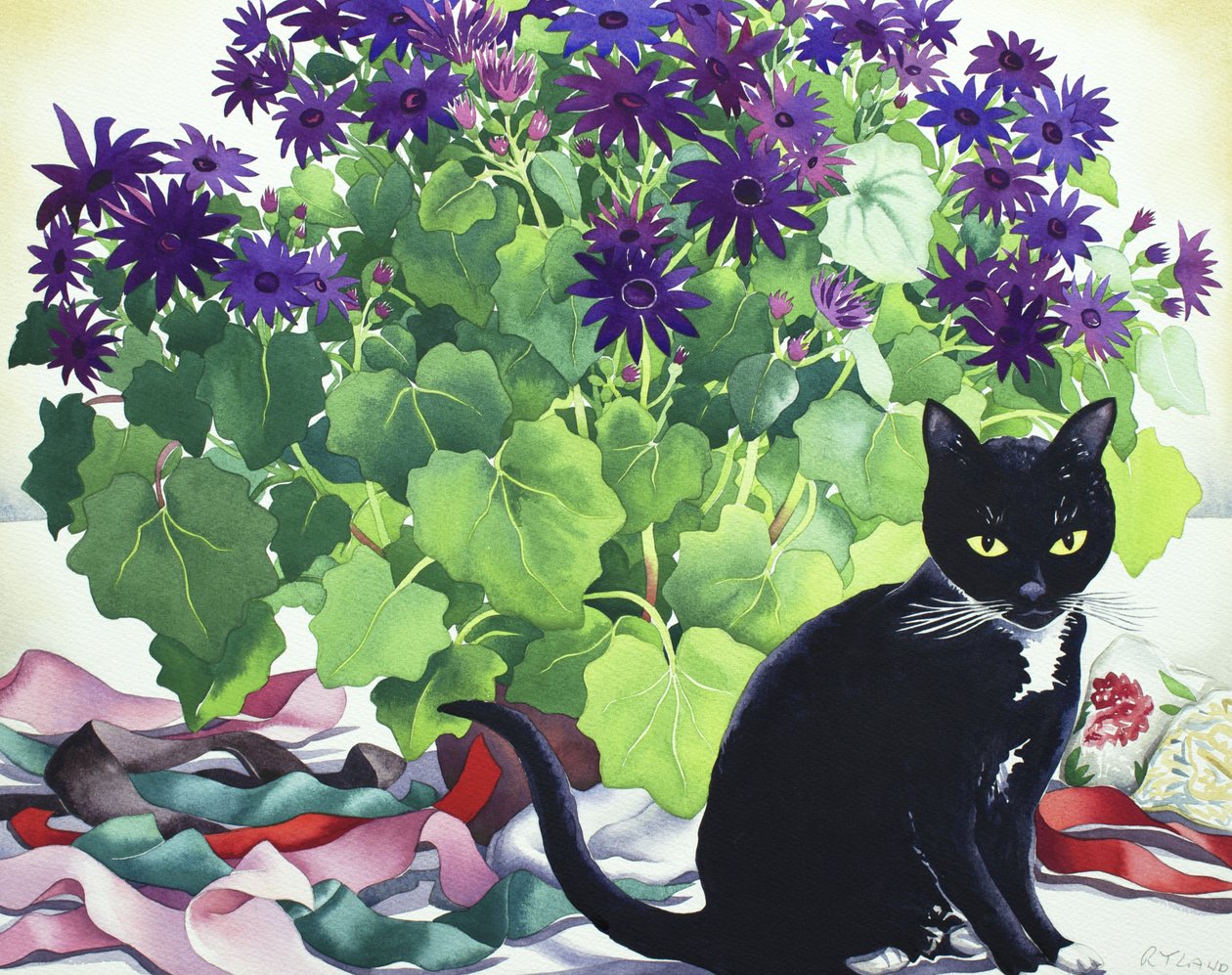 Senetti Plant and Cat av Christopher Ryland