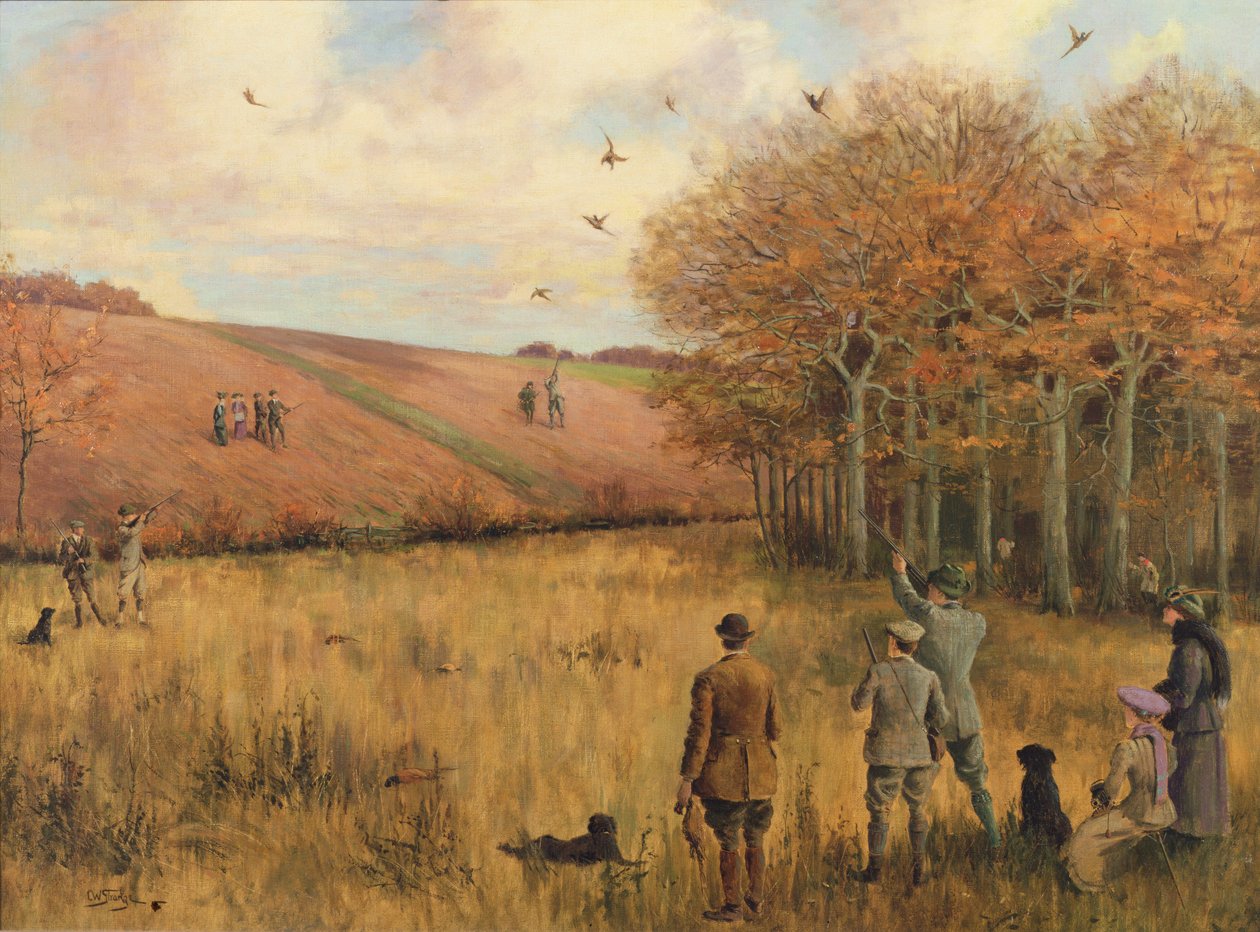 Fasanskytte av Christopher William Strange