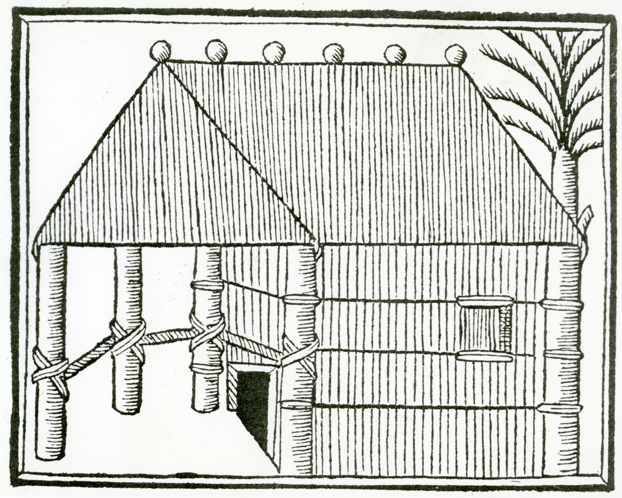En indisk bostad från "la Historia general de las Indias" 1547 av Christopher Columbus