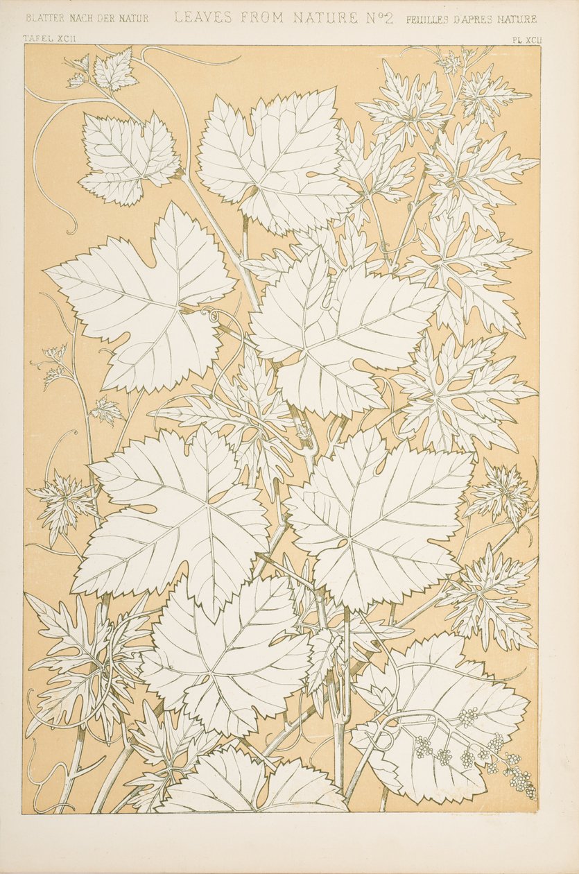 Löv från naturen, 1868 (chromolitho) av Christopher Dresser