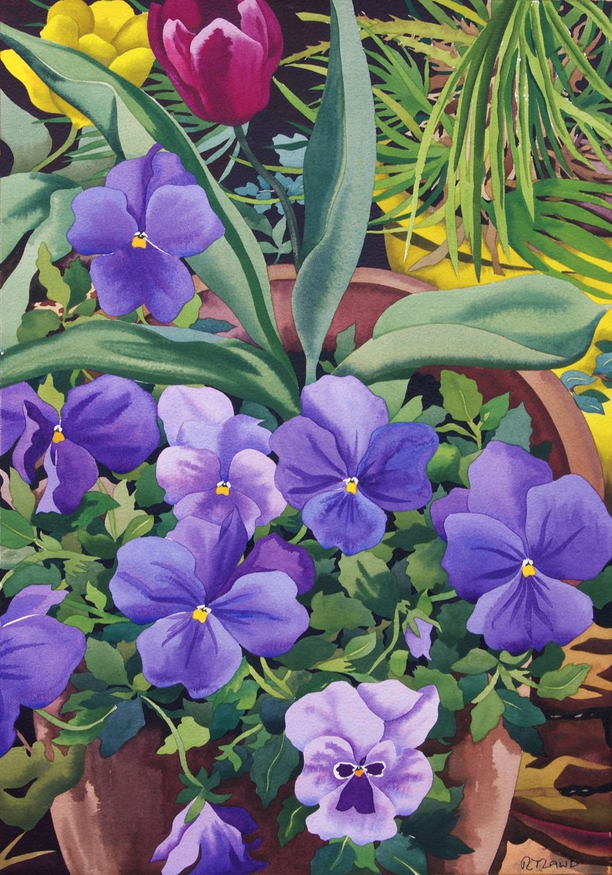 Blomkrukor med penséer, 2007 (wc på papper) av Christopher Ryland