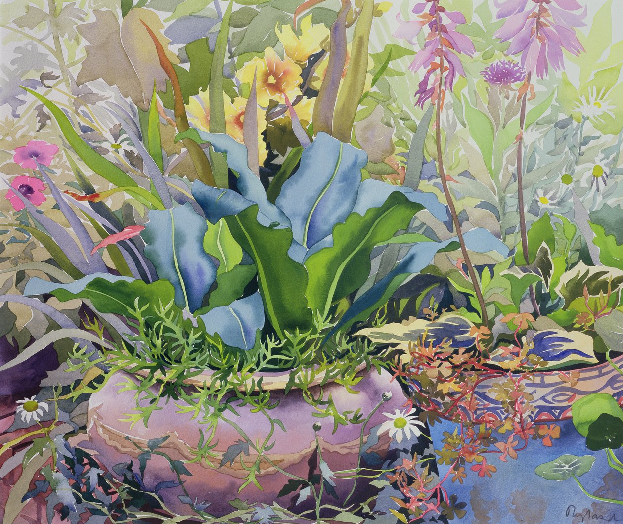 Trädgård med växter, 2000 (wc på papper) av Christopher Ryland