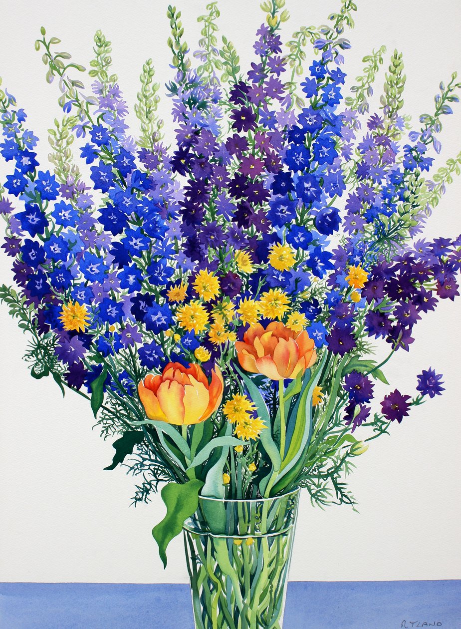 Larkspur och delphiniums (akvarell på papper) av Christopher Ryland