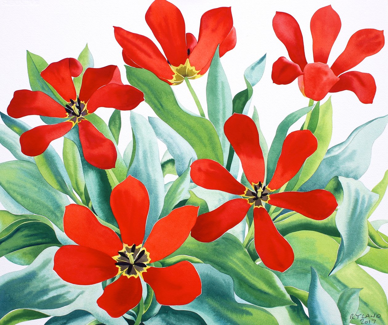 Madame Lefeber Tulips 2 (akvarell på papper) av Christopher Ryland