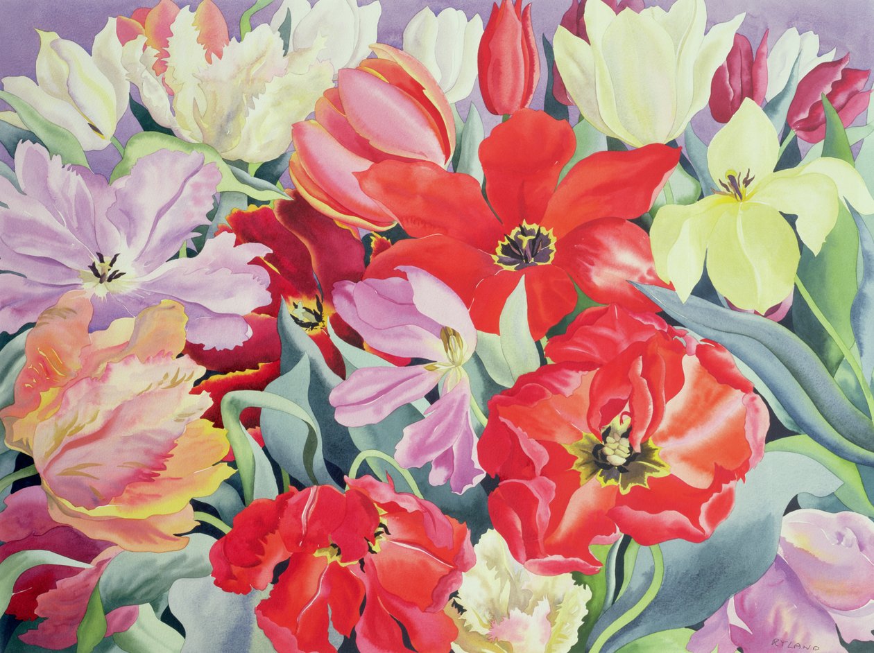 Massed Tulips, 2003 (wc på papper) av Christopher Ryland