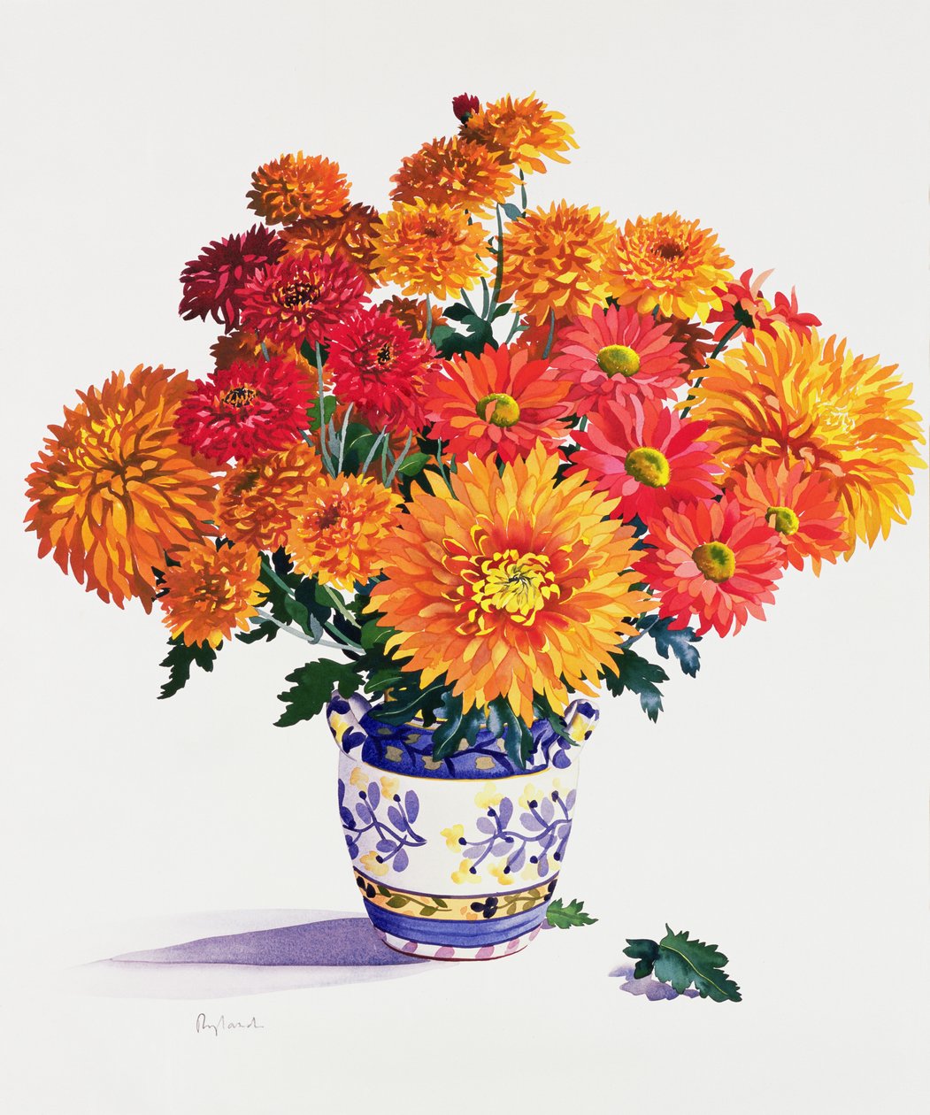 Oktoberkrysantemum (wc på papper) av Christopher Ryland