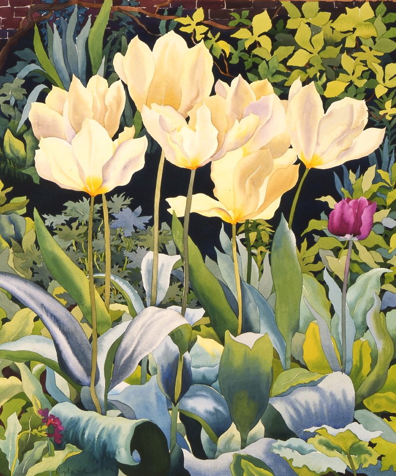 Bleka tulpaner (akvarell på papper) av Christopher Ryland