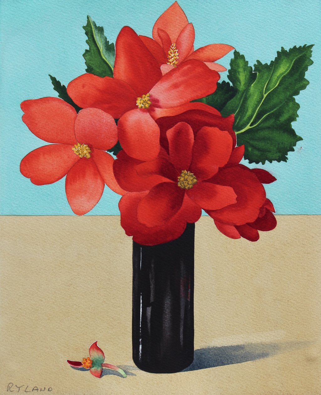 Röda Begonia (akvarell på papper) av Christopher Ryland