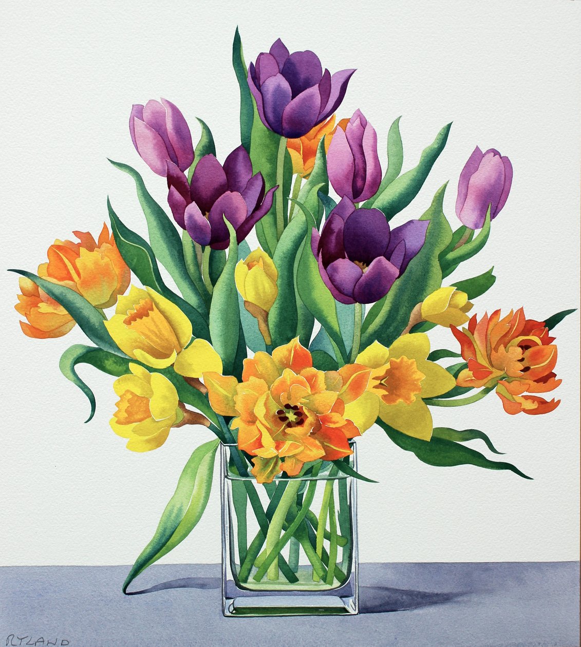 Vårblommor av Christopher Ryland