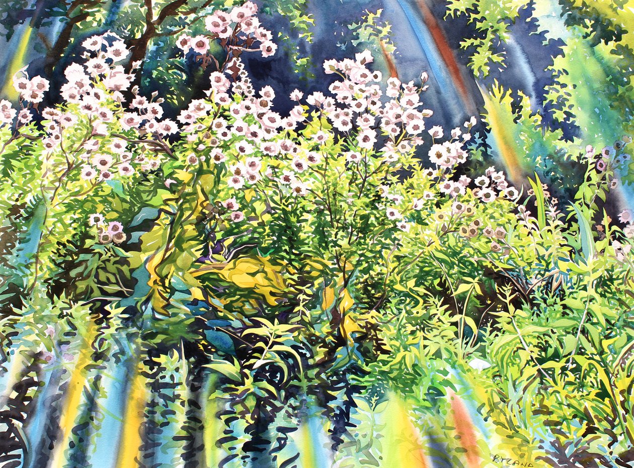 Thistledown, 2016 (akvarell på papper) av Christopher Ryland