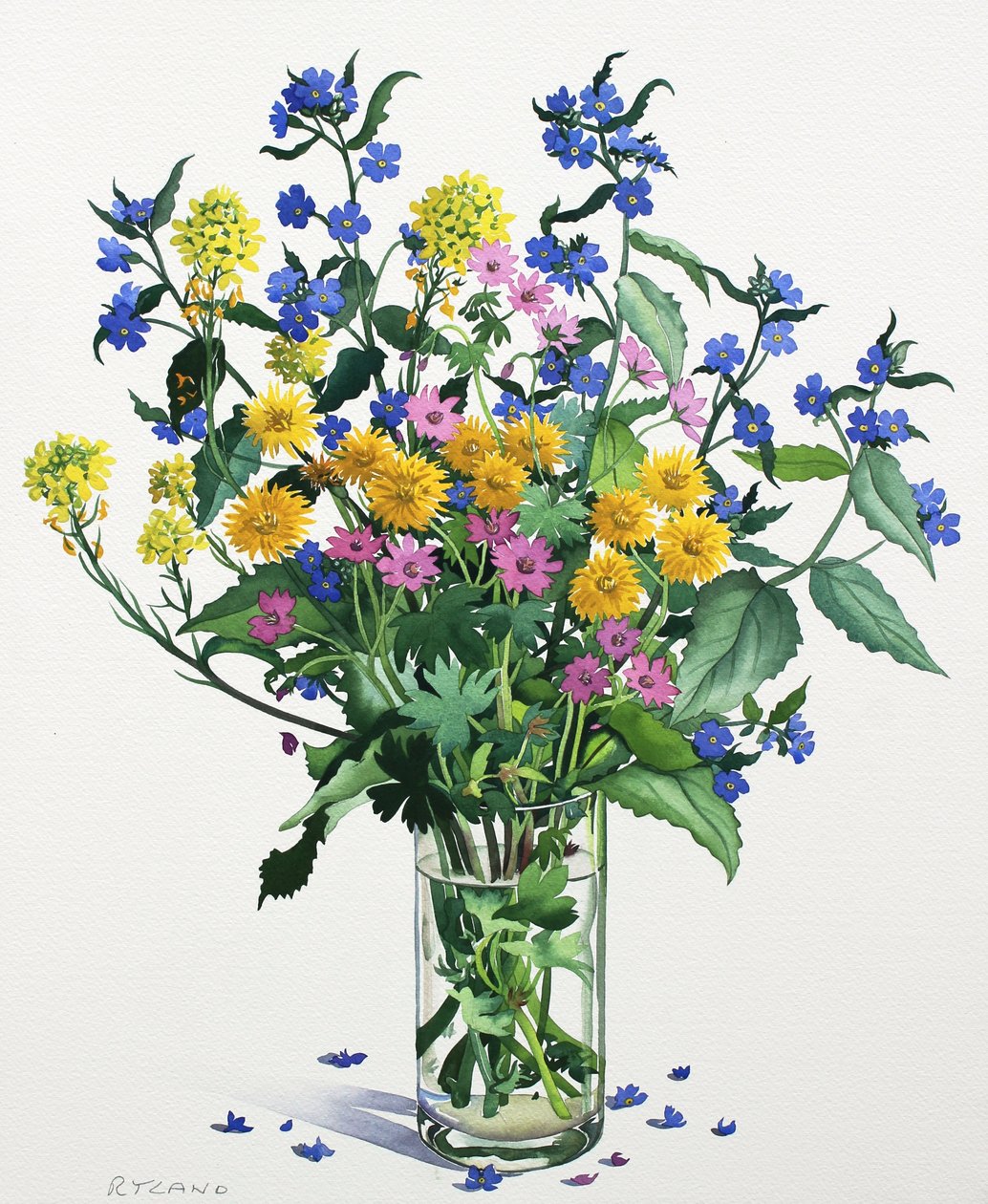 Vilda blommor med Alkanet, 2021 (akvarell på papper) av Christopher Ryland