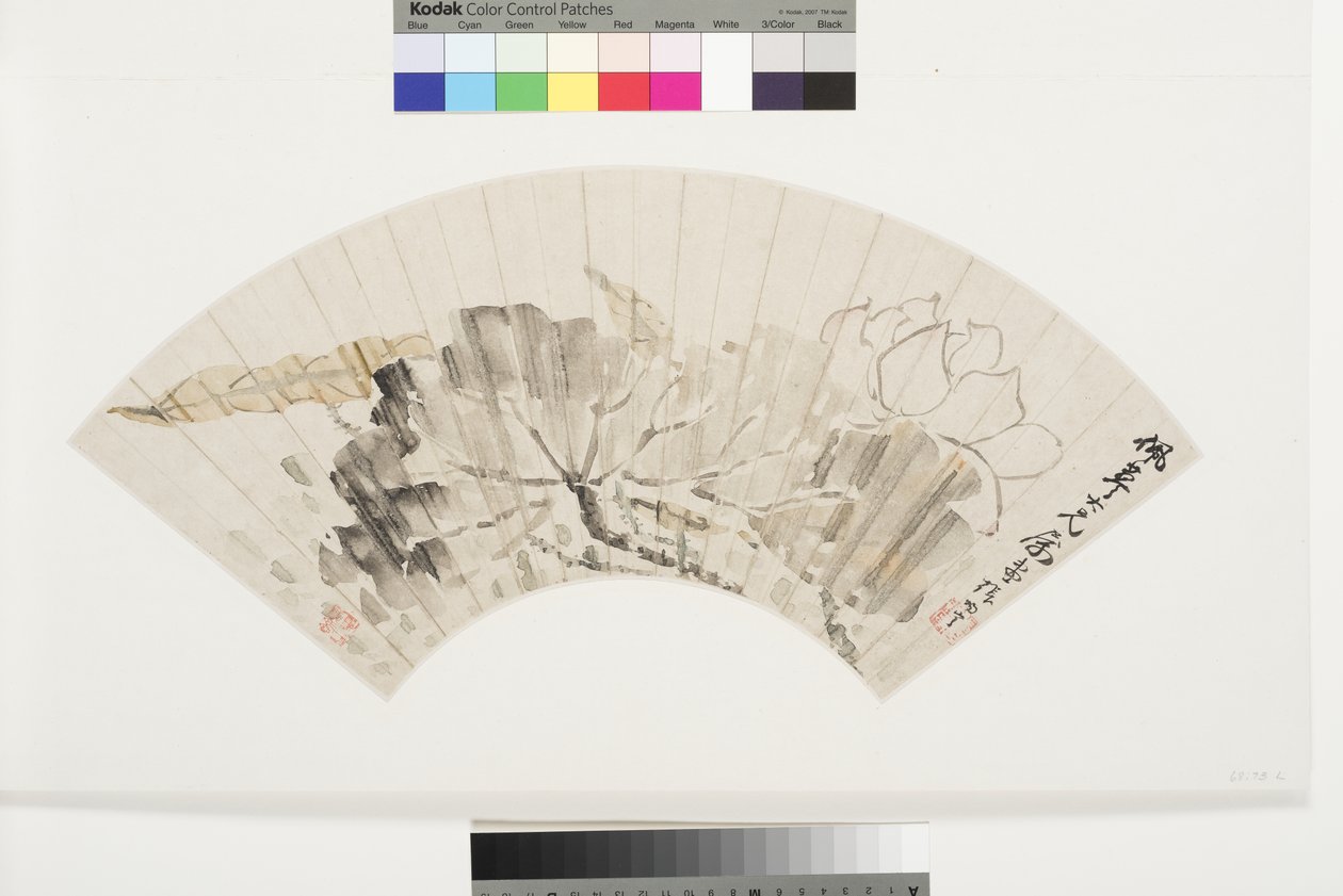 Lotus Blossom and Leaves, tidigt 1800-tal (bläck & ljusa färger på glimmerfläckat papper monterat ombord) av Cining Zhang