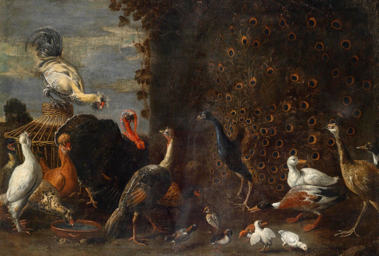 Kycklinggård med påfågelkalkon och ankor av Circle of Adriaen van Utrecht