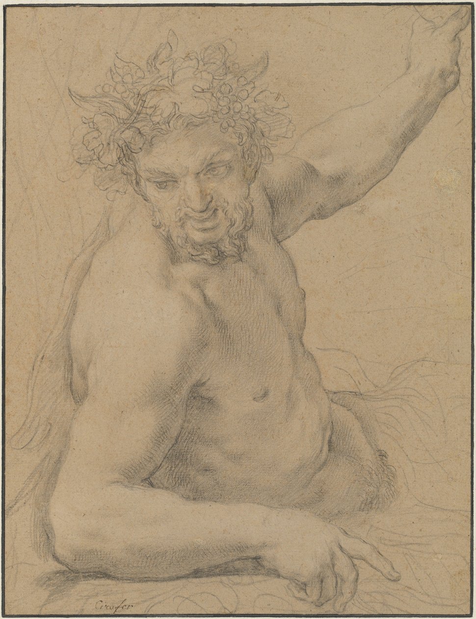 Vilande faun av Ciro Ferri
