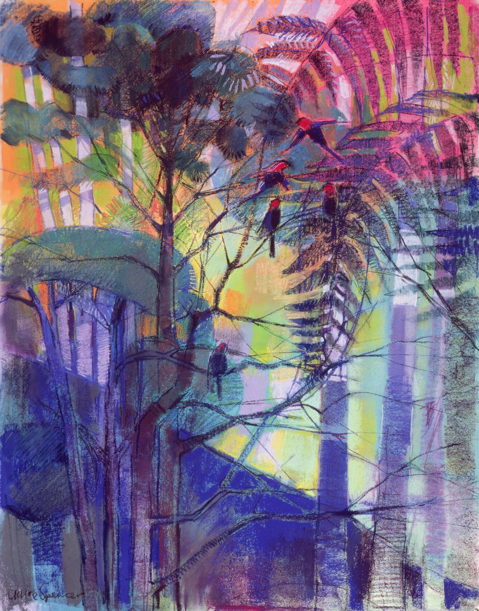 I Blue Mountains av Claire Spencer