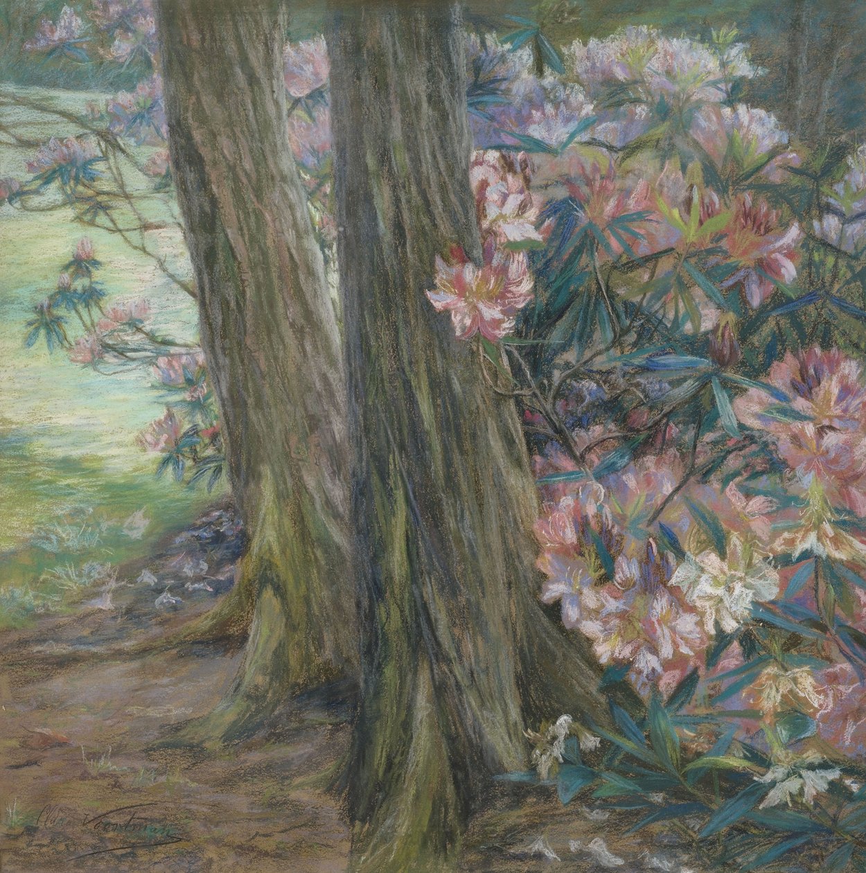 Clara Voortman Rhododendronbusch av Clara Voortman