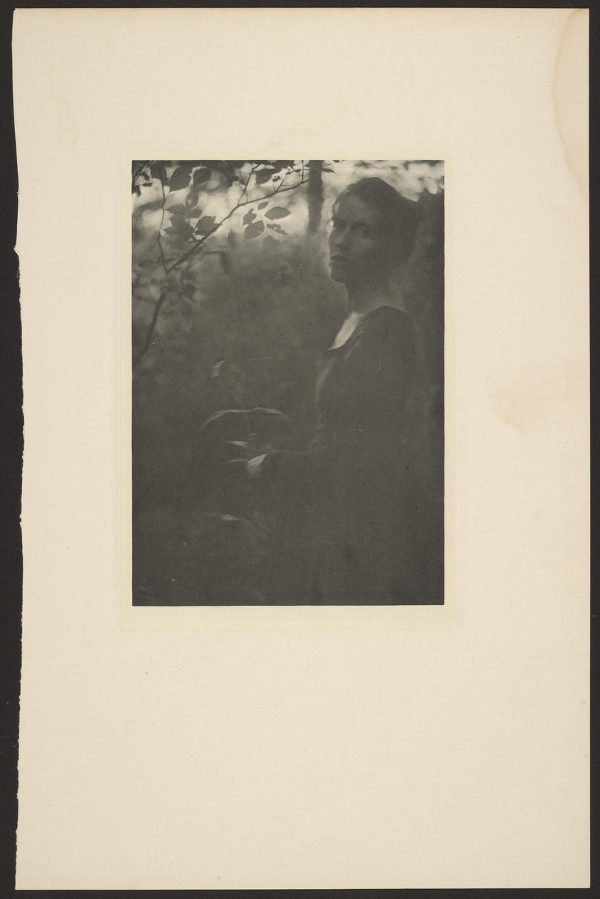 [Edge of the Woods -- Evening] av Clarence H. White