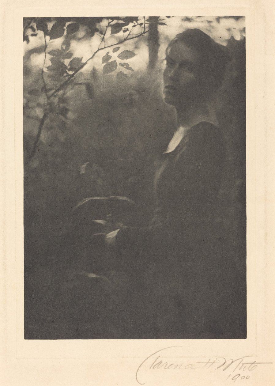 Edge of the Woods, kväll,1900 (foto) av Clarence Henry White