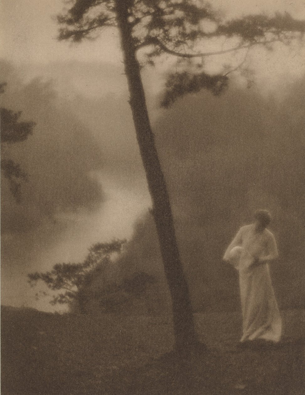 Morgon,ca 1905 (foto) av Clarence Henry White