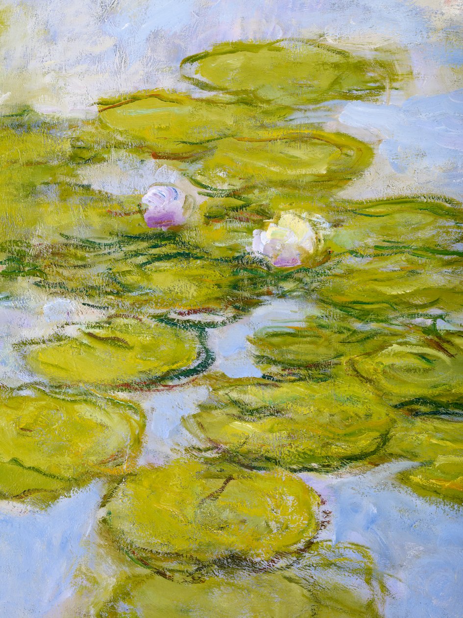 Nympheas, 1916-19 (uppgift om 377597) av Claude Monet