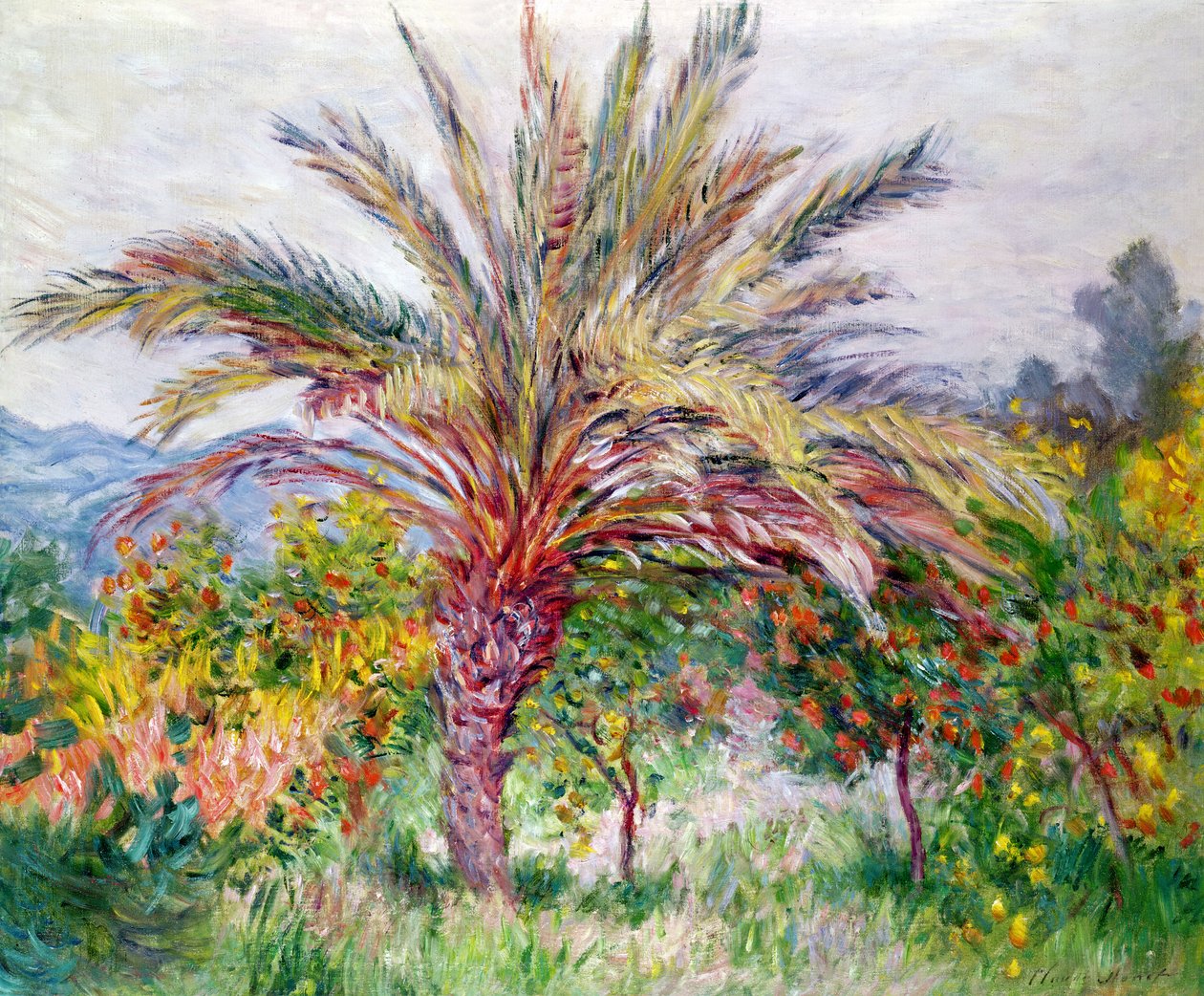 Palmträd vid Bordighera, c.1884 av Claude Monet
