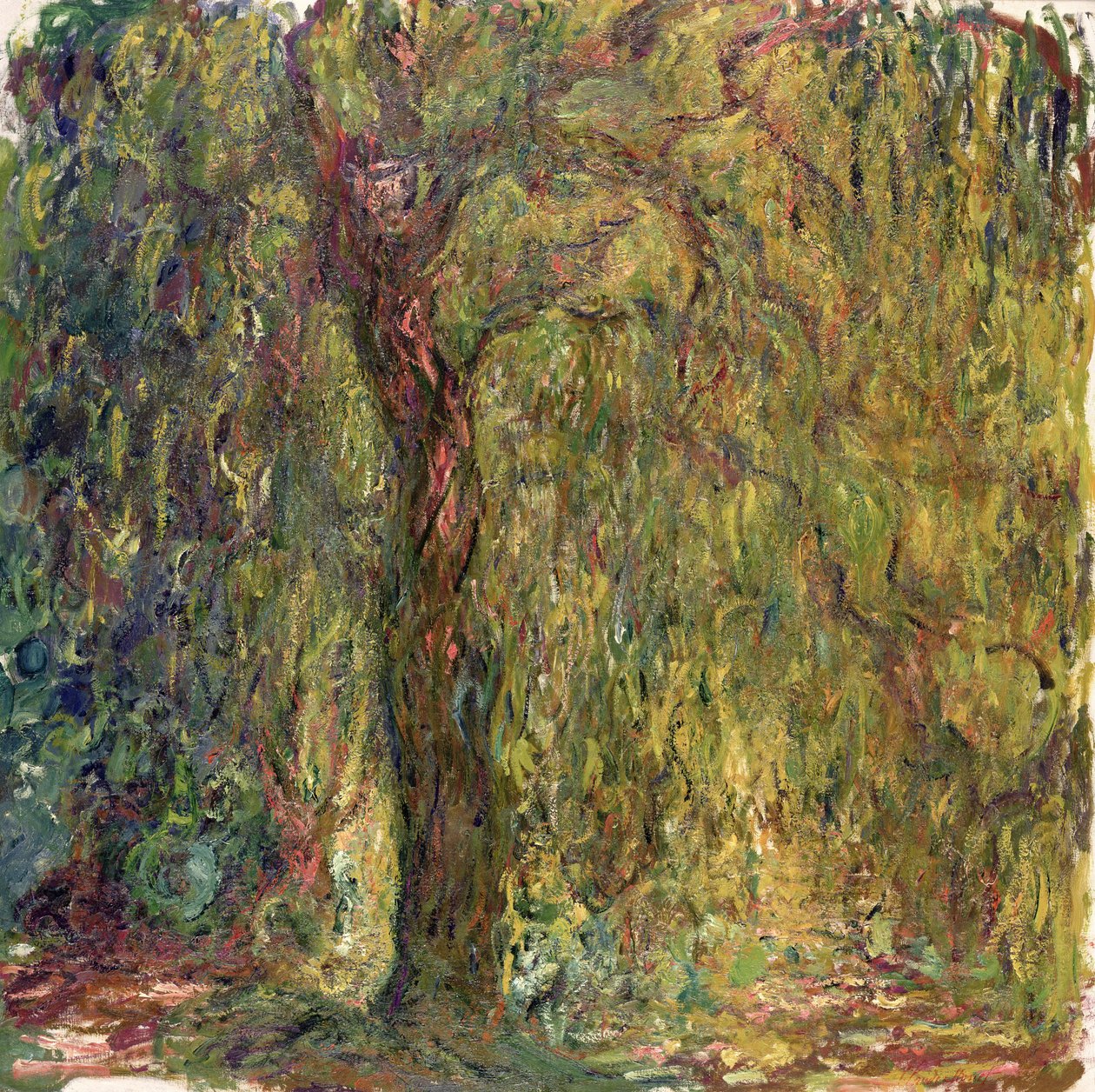 Gråtande pil, 1918-19 av Claude Monet