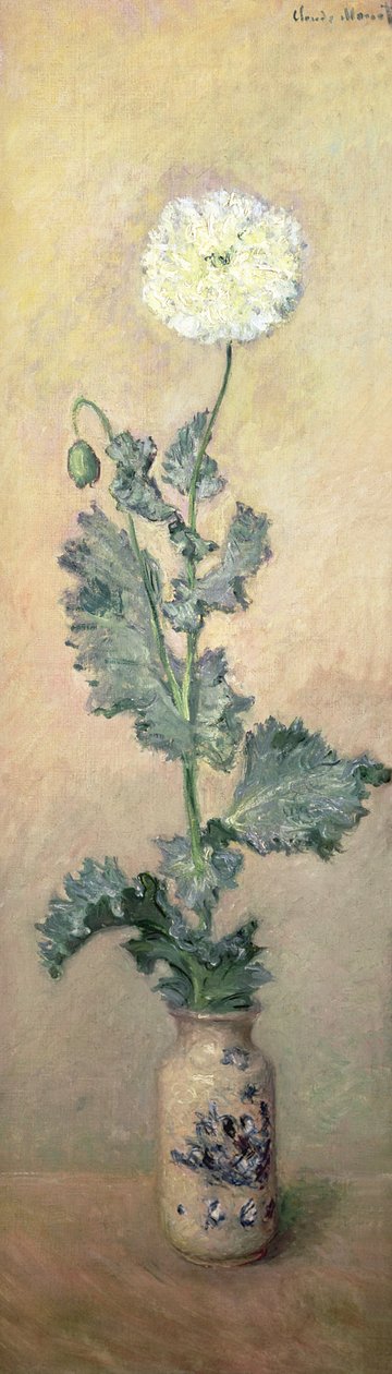 Vit vallmo, 1883 av Claude Monet