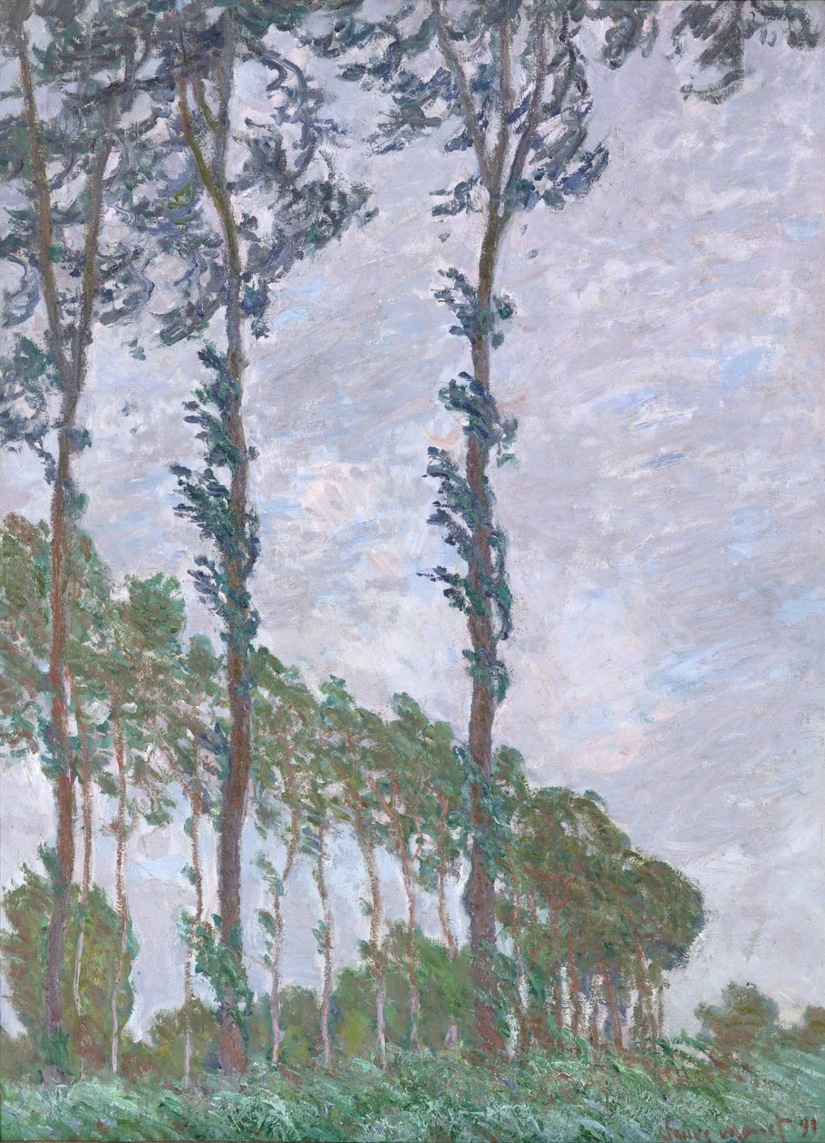 Wind Effect, Series of The Poplars av Claude Monet