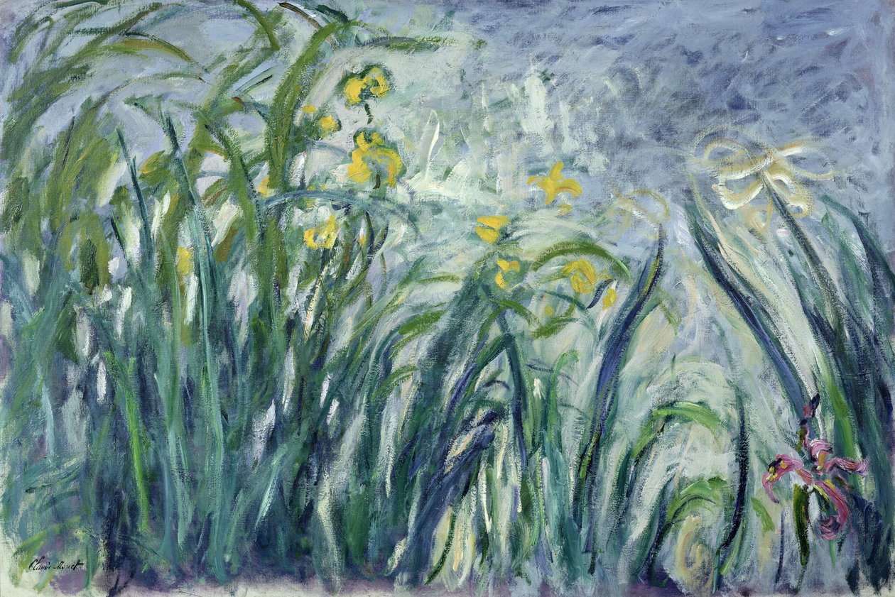 Gula och lila irisar, 1924-25 (se detalj 414407) av Claude Monet