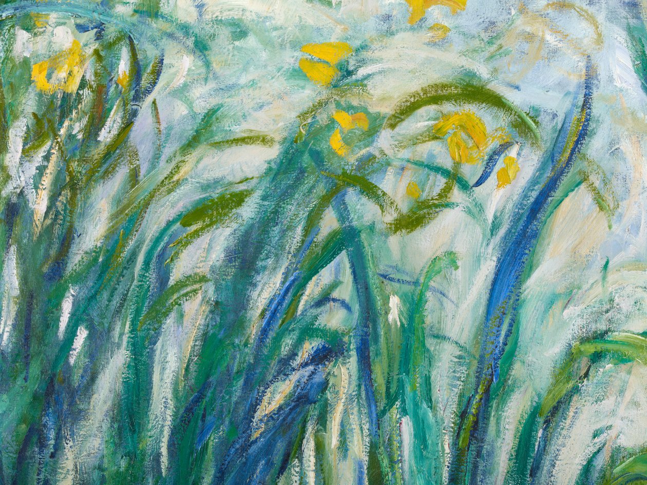Gula och lila irisar, 1924-25 detalj av 169490 olja på duk av Claude Monet