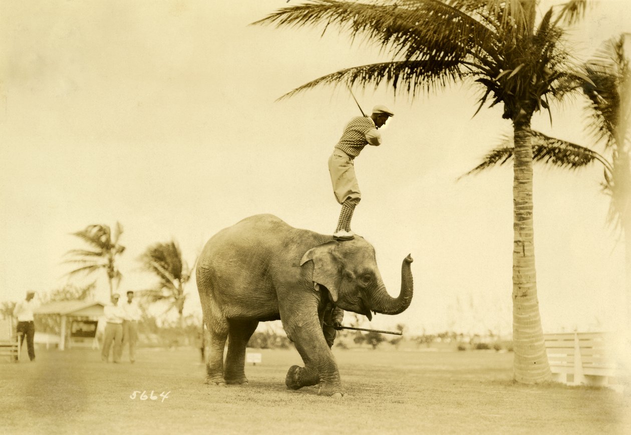 Golfspelare som står på Rosie the Elephant, Miami Beach, 2 maj 1927 av Claude C. Matlack