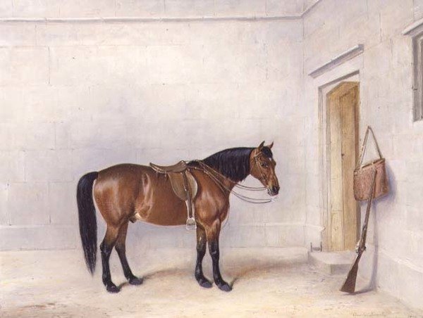 Saddle Bay Shooting Pony av Claude L. Ferneley