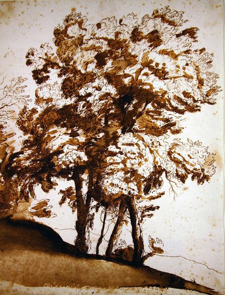 En grupp träd i solljus (penna & bläck och tvätt på papper) av Claude Lorrain