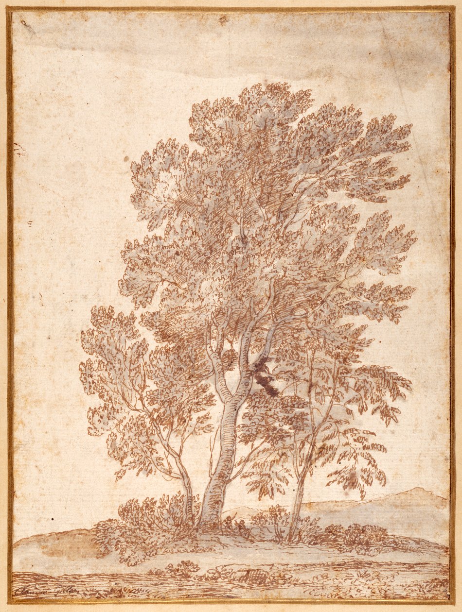 Tre träd (penna & brunt bläck med grå tvätt på papper) av Claude Lorrain