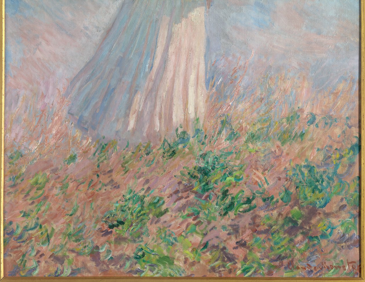 Figurtest utomhus av Claude Monet