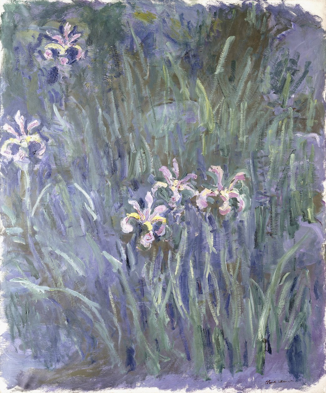 Iris, ca 1914-1917 av Claude Monet