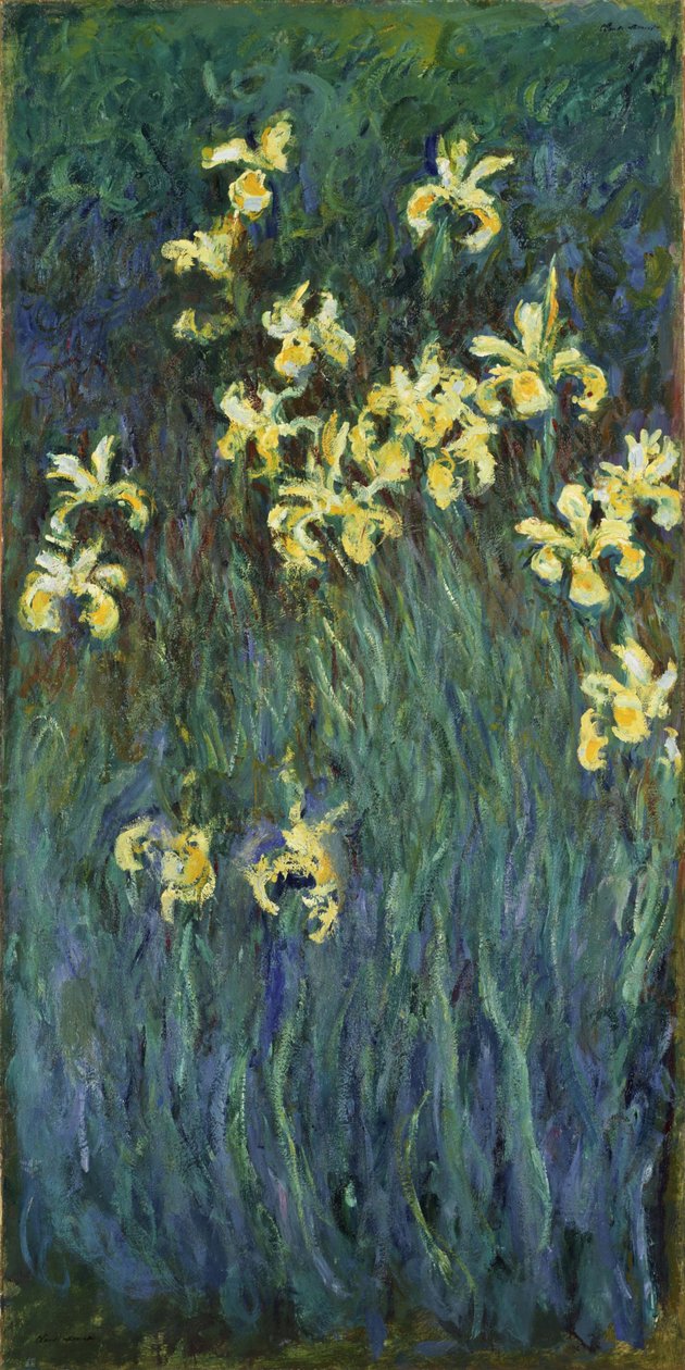 Gula irisar - Målning av Claude Monet (1840-1926), olja på duk av Claude Monet