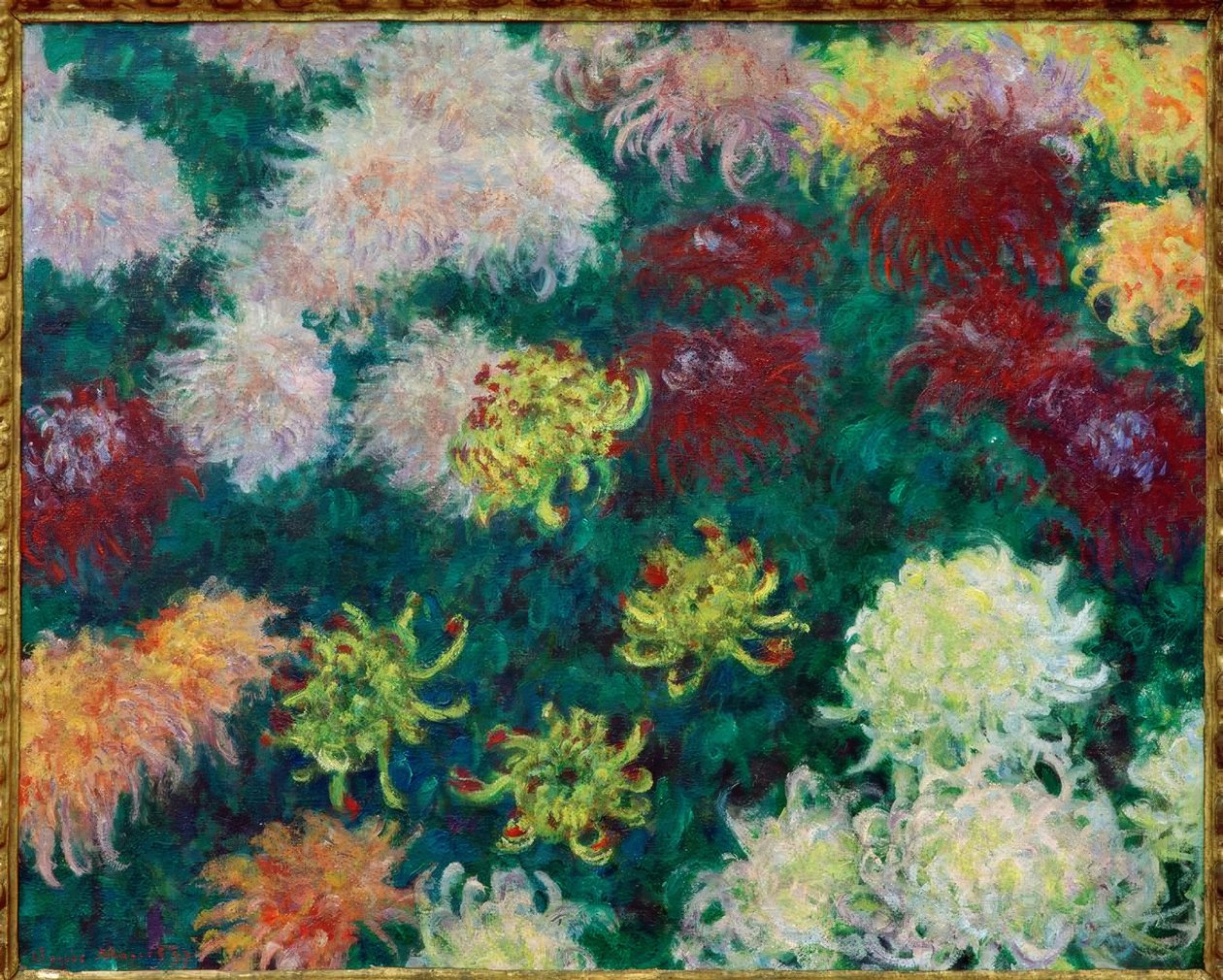 Krysantemum säng av Claude Monet