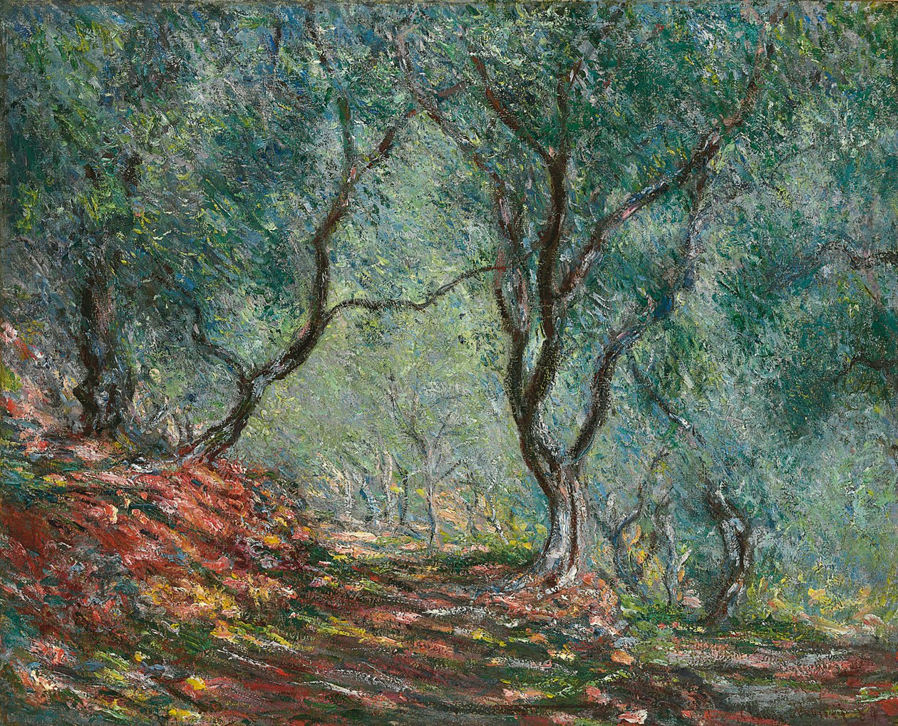 Olivträd i Moreno-trädgården, 1884 av Claude Monet